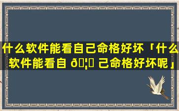 什么软件能看自己命格好坏「什么软件能看自 🦅 己命格好坏呢」